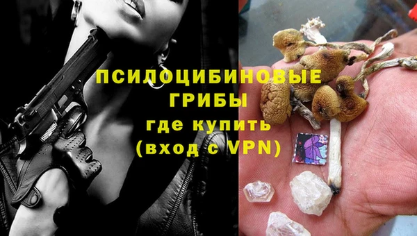 прущие крисы Строитель