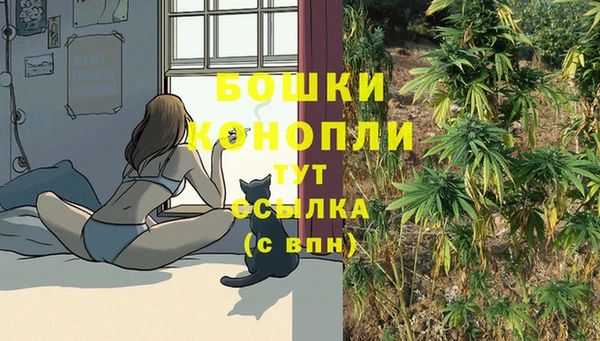 прущие крисы Строитель